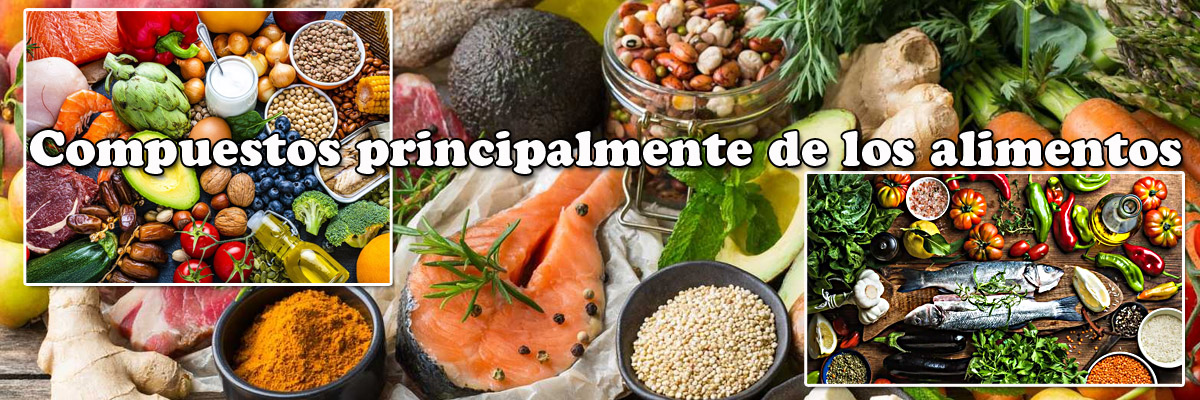 Alimentacion